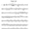 Jimmy Sax - Porto sax alto